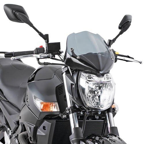 Givi 247A Windscherm Suzuki GSR 600 2008-2011