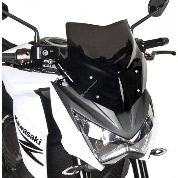 Barracuda Windscherm Kawasaki Z800 2013-2016